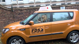 Fake Driving School - bagy csöcsű milf meztelenre vetkőzik