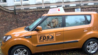 Fake Driving School csöcsö piercinges gót kiscsaj popsiba kéri