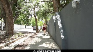 GingerPatch - szépséges pici vörös spiné és a szomszédja